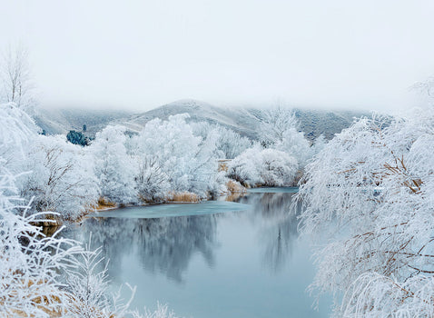 Hoar Frost