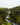 Fjadrárgljúfur Canyon II fine art landscape photograph, Iceland by Emma Willetts