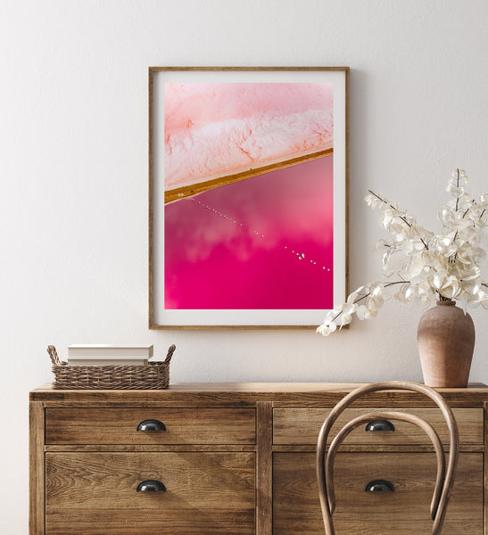 'Alphabet Soup' Photographic Print, Australia