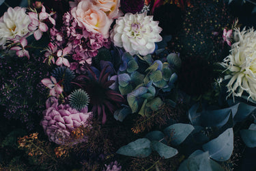 Embrace fine art landscape photograph by Emma Willetts