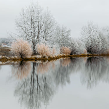 Apricot | Kellands Pond fine art landscape photograph by Emma Willetts
