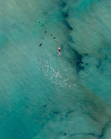 Paddle | Saint Clair Beach Dunedin New Zealand fine art landscape photograph, Otago, New Zealand by Emma Willetts