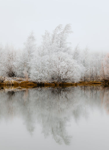 Be Still | Kellands Pond fine art landscape photograph by Emma Willetts