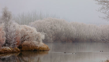 Kellands Pond Hoar Frost 2 | Kellands Pond fine art landscape photograph by Emma Willetts