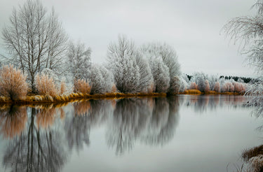 Hoar Frost Twilight | Kellands Pond fine art landscape photograph by Emma Willetts