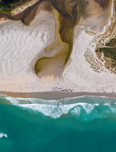 Kaikorai Lagoon fine art landscape photograph, Otago, New Zealand by Emma Willetts