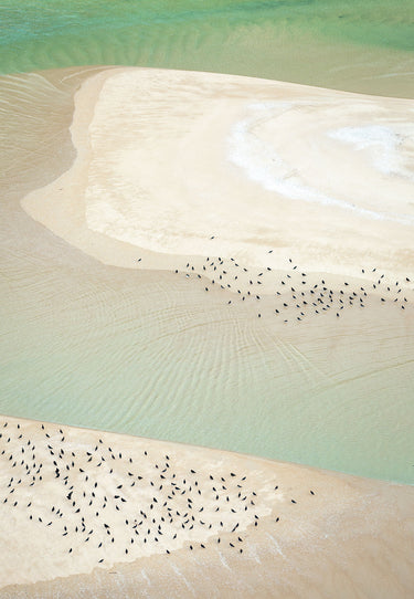 Nigella Seeds | Awaroa fine art landscape photograph, Mackenzie Country, New Zealand by Emma Willetts