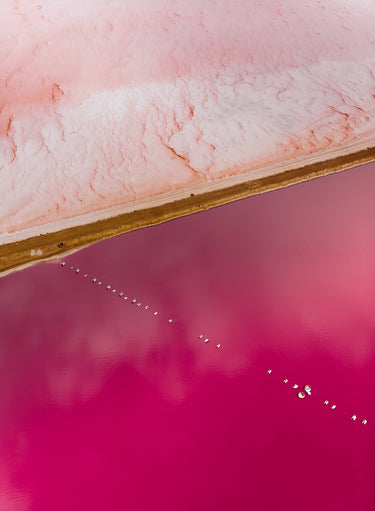 Alphabet Soup fine art landscape photograph by Emma Willetts