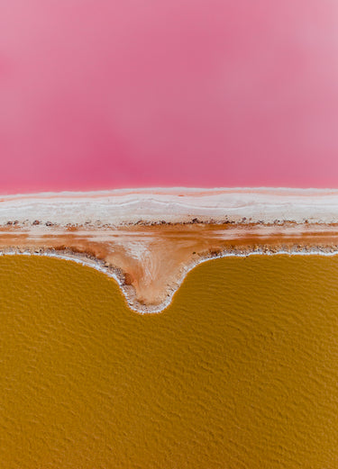 An Unlikely Match fine art landscape photograph by Emma Willetts