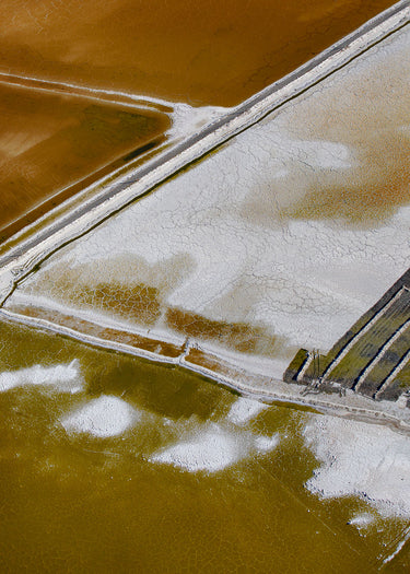 Harvest fine art landscape photograph, Marlborough, New Zealand by Emma Willetts