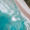 aerial photographic print of Allans beach Dunedin New Zealand