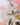 Bubblegum | Hutt Lagoon fine art landscape photograph by Emma Willetts