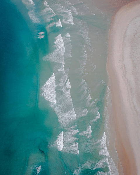 aerial photographic print of Allans beach, Dunedin New Zealand