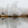 Be Still | Kellands Pond fine art landscape photograph by Emma Willetts