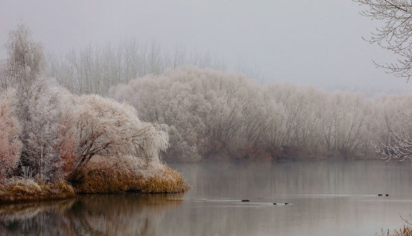 'Kellands Pond Hoar Frost' Photographic Print 2, Twizel New Zealand