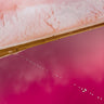 Alphabet Soup fine art landscape photograph by Emma Willetts