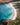 aerial photo of Sandfly Bay beach Dunedin New Zealand