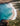 aerial photo of Sandfly Bay beach Dunedin New Zealand